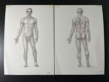 Männliche Körperskizze