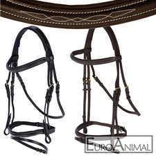 Reithalfter Trensenzaum