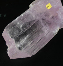 XXL Kunzit   Spodumen / Kunar