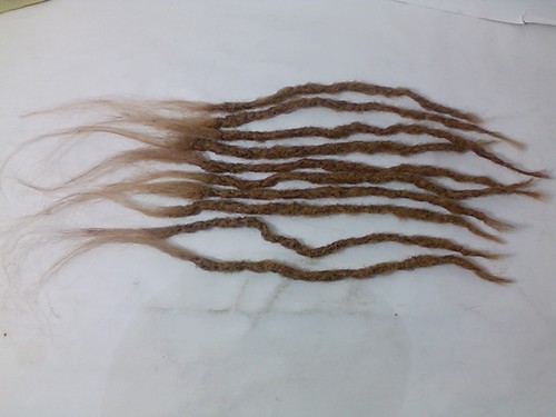 100 echthaar dreadlocks - 100%,