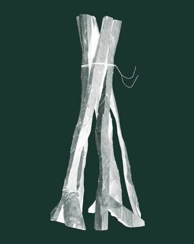 Georg baselitz sculptures - georg,