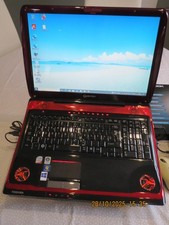 Toshiba Qosmio X300 - 13l - 17 Zoll