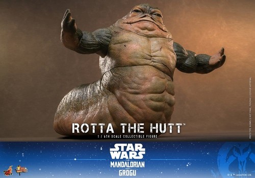 Pre order hot toys - order, star