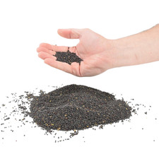 Raps Rapssamen Rapssaat