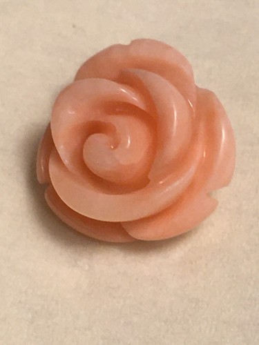 Alte korallen koralle rose - korallen, *rose*