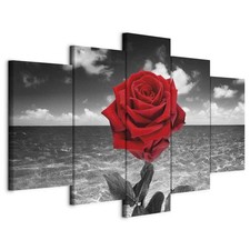 Wandbild 5 tlg Groß
