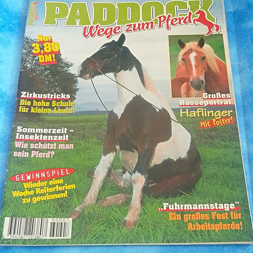 Zeitschrift paddock wege - paddock,