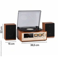 Auna Plattenspieler mit Lautsprecher