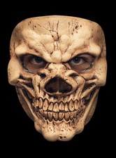 Schädel Skelett - Horror
