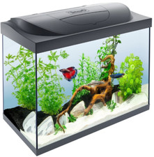 Tetra 80L Aquarium komplett