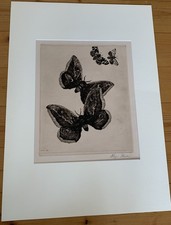 Richard Müller, Vier