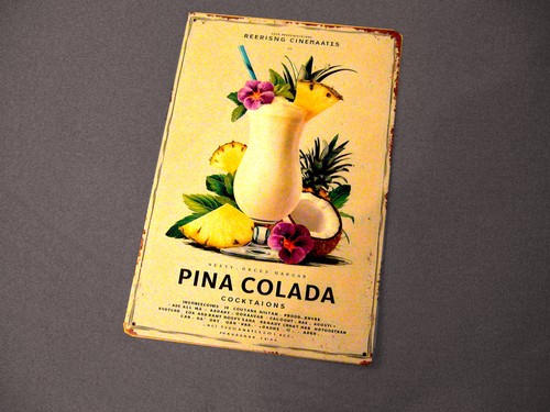 Blech metall schild pina - blech,