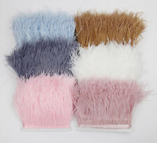 Straußenschale Feder