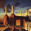 Animals von pink floyd - pink,