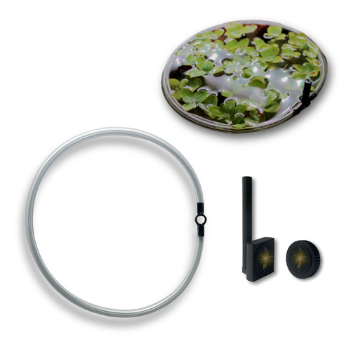 Schwimmring mit aquanetic - schwimmring,