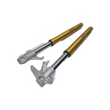 SET 2x GABELROHR FANTIC HERREN