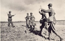 Foto REPRO 15x10 04. Polen