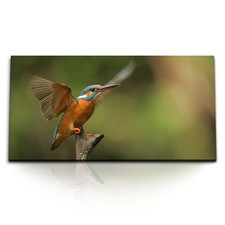 120x80cm kunstdruck bilder - kunstdruck,