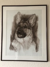 Handgemaltes Bild eines Schäferhundes