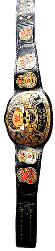 Wwe championship gürtel - championship,