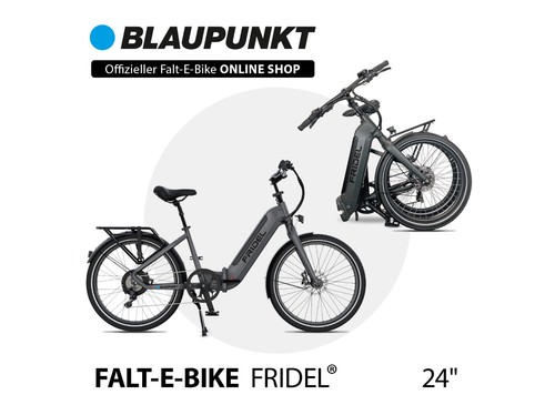 Blaupunkt fridel zoll - blaupunkt, fridel®