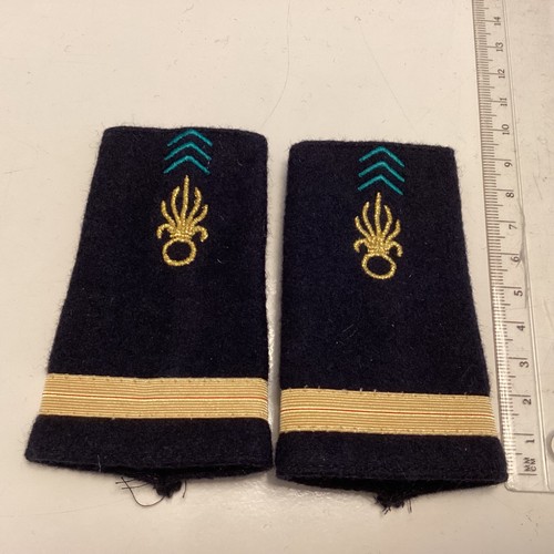 Fremdenlegion,Legion