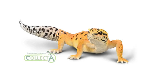 Collecta insekten kollektion - collecta,