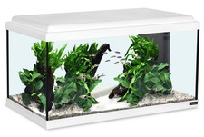 AQUATLANTIS Advance 60 LED