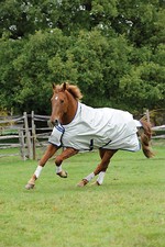 Bucas Power Turnout Light High Neck u. Extra High Neck Regendecke Winterdecke