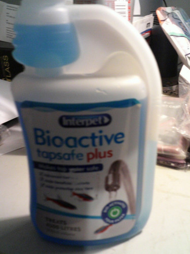 Bioactive aquarium - bioactive,