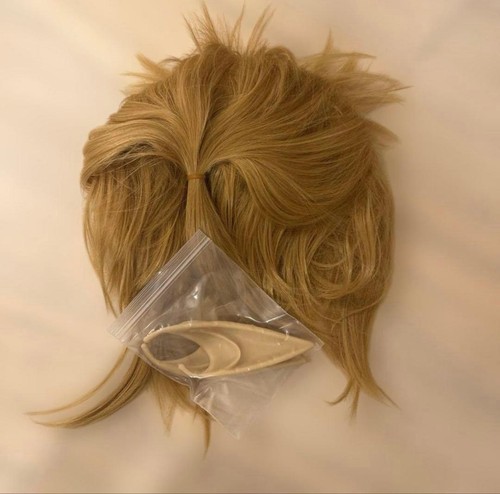 Halloween link style perücke - link,