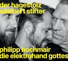 Der hagestolz adalbert - hagestolz, (adalbert