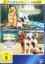 Zurück nach Hause / Ein