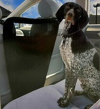 Hunde-Schutz für Auto Rücksitzbank