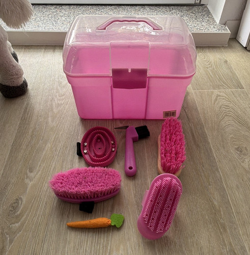Pferde putzset pink - pferde, pinker