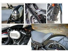 Harley Davidson Softail
