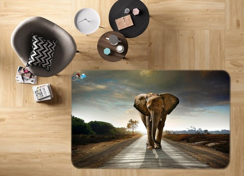 Elefant straße zhuc2297 - elefant,