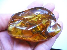 Großer, echter BERNSTEIN aus