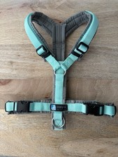 Annyx Geschirr Grau Mint Gr. S