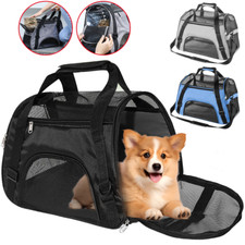 Katzenrucksack Katzen Hunde
