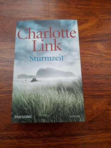 Sturmzeit von link charlotte - ,