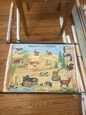 Schulwandkarte, Rollkarte