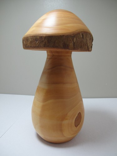 Großer schwerer pilz aus - schwerer,