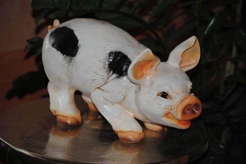 Süßes glück schwein ferkel - süßes,