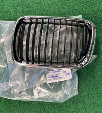 NOS Niere links Chrom  Stege