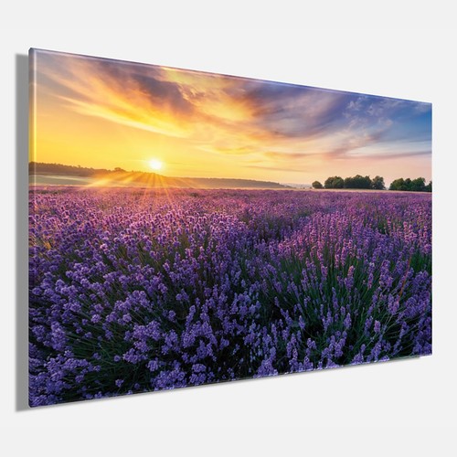 Wandbild lavendelfeld - wandbild,