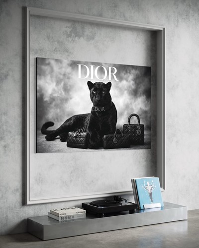 Puma leinwand bild - puma,