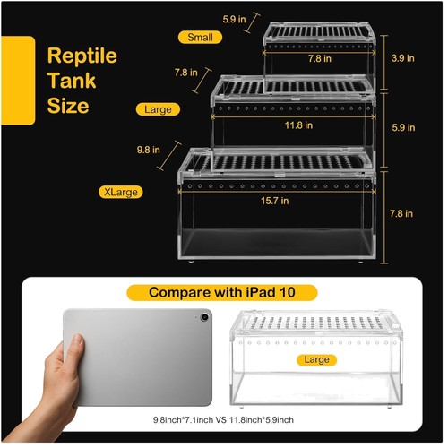 Reptile terrarium with - reptile,