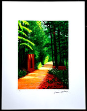 David Hockney - Arrival of