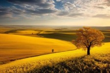 Wandbild: Wunderschöne